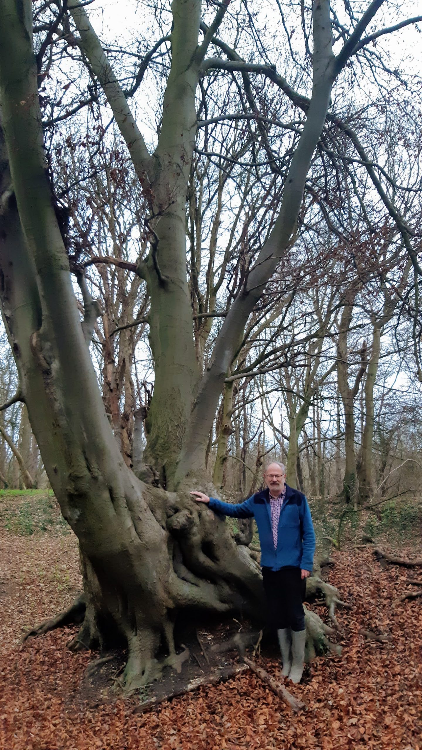 Chris stands next to an ancient tree with gnarled roots